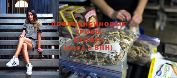 круглые Алзамай