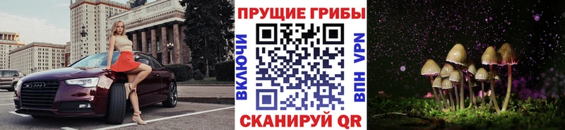 наркотики  Шацк  гидра ТОР  Галлюциногенные грибы прущие грибы 