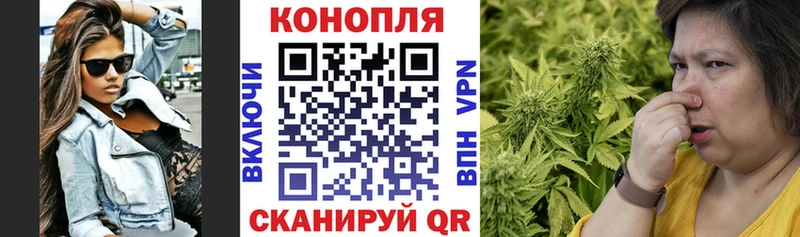 darknet Telegram  где купить наркоту  Шацк  Марихуана планчик 